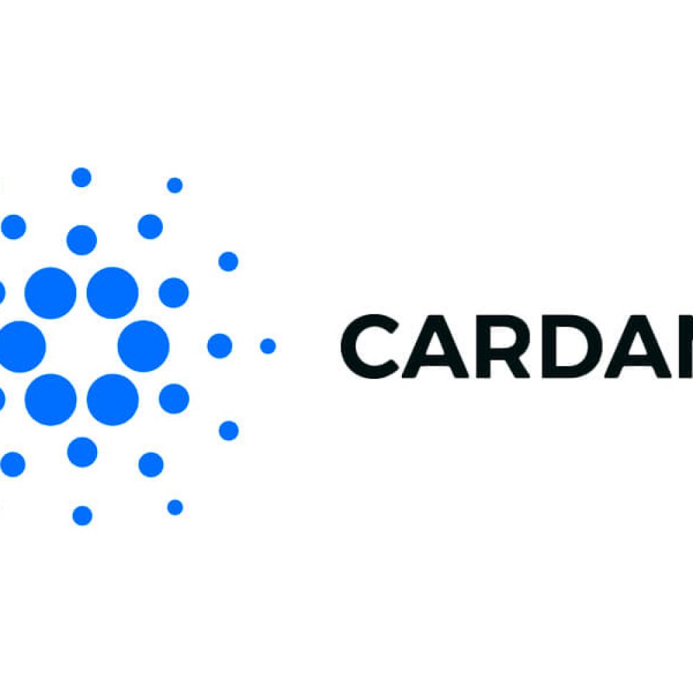 カルダノとは？ | 利用方法、メリット・デメリット