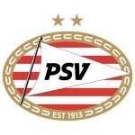 psv logo 2016 -