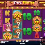 The Dog House Megaways