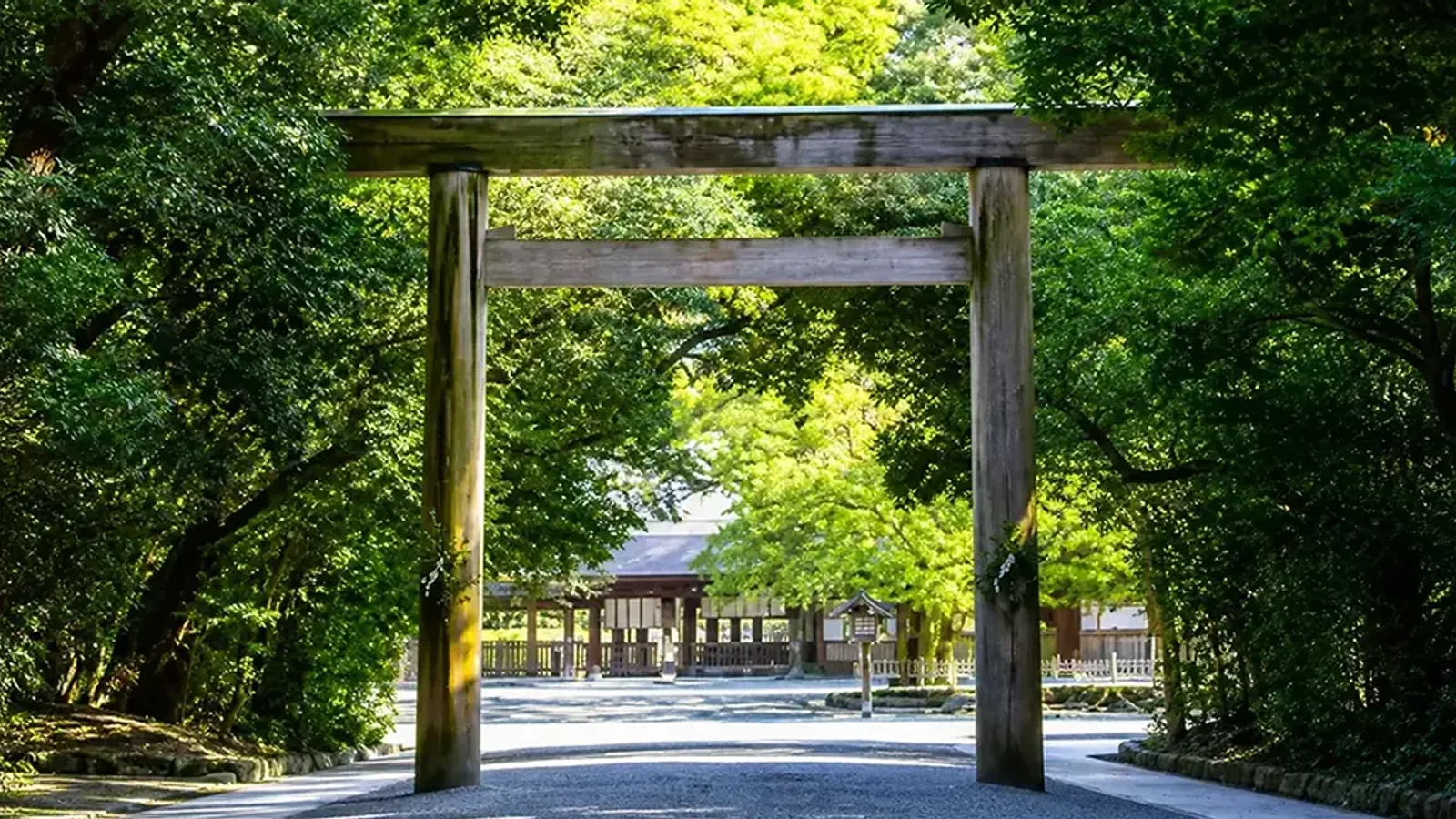 龍影閣景観