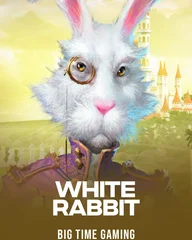 White Rabbit