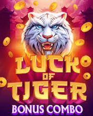 Luck of Tiger Bonus Combo