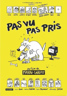 Affiche officielle du film Pas vu, pas pris de Pierre Carles. Affiche du documentaire Pas vu, pas pris réalisé par Pierre Carles sur les médias et le pouvoir.
