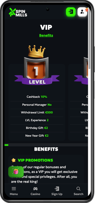 SpinMills VIP program