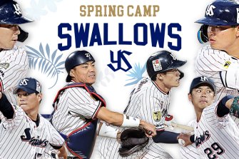 東京ヤクルトスワローズ