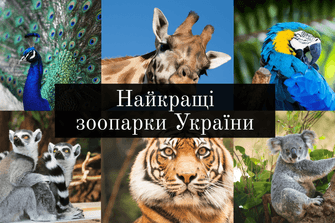 Найкращі зоопарки України