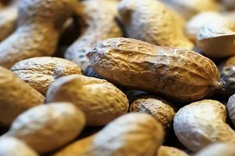 Allergènes alimentaires