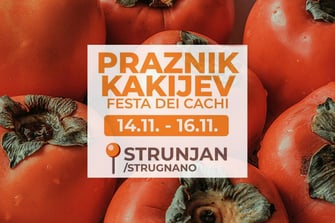 22. Praznik kakijev v Strunjanu