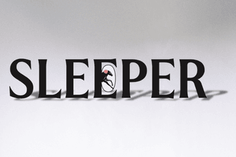 Sleeper