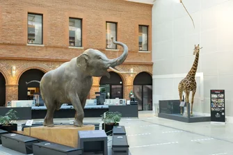 Muséum de Toulouse