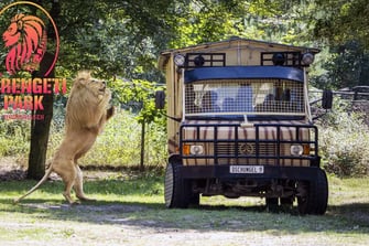 Safaripark Serengeti Hodenhagen