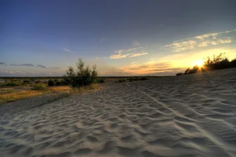 Pustynia Błędowska