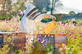 День пасічника