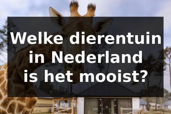 Welke dierentuin in Nederland is het mooist?