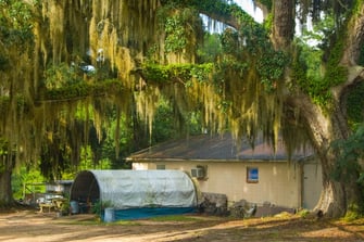 Bradfordville Blues Club: The Best Juke Joint for Blues Fans