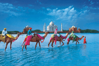 Nettoyage "ayurvédique" du foie : mythes, réalités et dangers