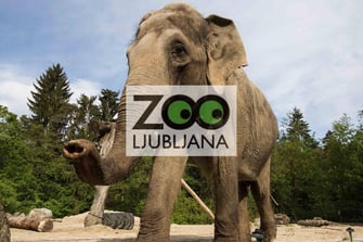 Zoo Ljubljana
