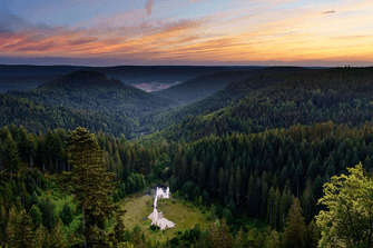 Nationalpark Schwarzwald
