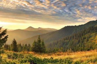 Закарпаття