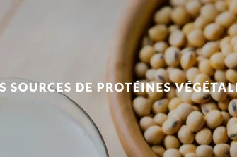 Les sources de protéines végétales