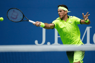 Juan Martín del Potro