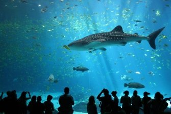 Oceanário de Lisboa