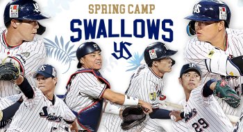 東京ヤクルトスワローズ。