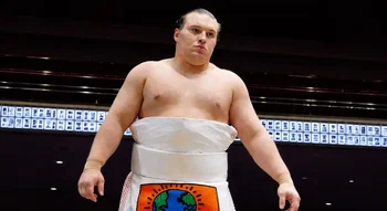 相撲取り安青錦新大