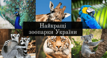 Найкращі зоопарки України