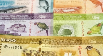 Шри-ланкийская рупия: официальная валюта Шри-Ланки
