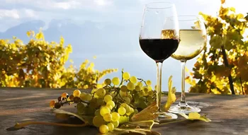 Magyarország legjobb borászatai