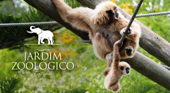 Jardim Zoológico de Lisboa