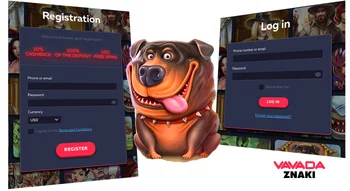 Vavada Casino Login
