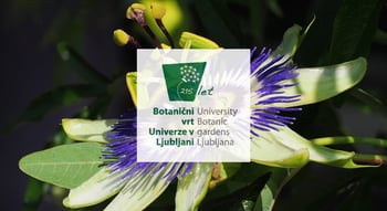 Botanični vrt Univerze v Ljubljani
