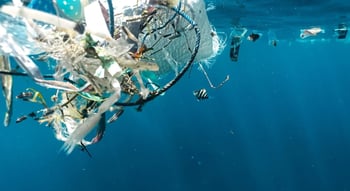 Ocean plastic pollution