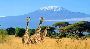 Танзания: общая информация о стране, интересные факты