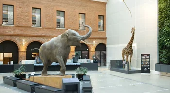 Statue d’éléphant et girafe naturalisée dans la cour intérieure du muséum de Toulouse.