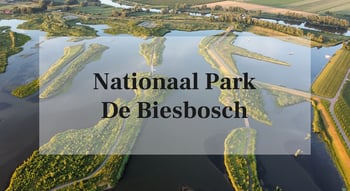 Nationaal park de Biesbosch
