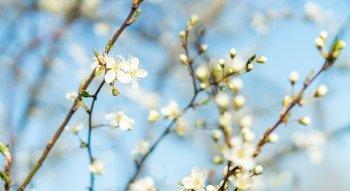 Весняні свята