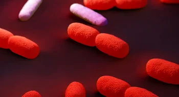 Représentation 3D de la bactérie responsable de la listériose.