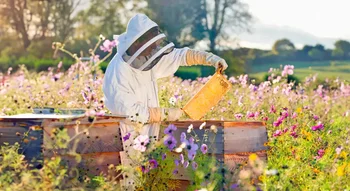 День пасічника