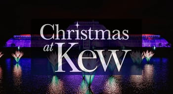 Christmas at Kew