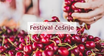 Festival češnje