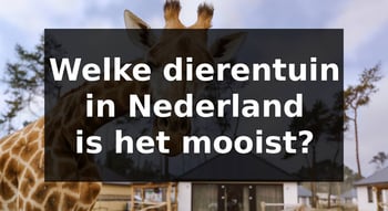 Welke dierentuin in Nederland is het mooist?