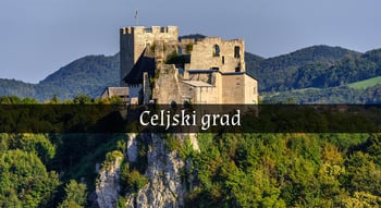 Celjski grad