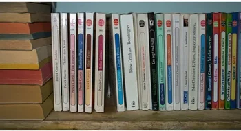 Livres rangés évoquant la diversité littéraire menacée par Le Plagiat.