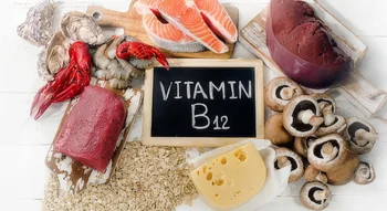 Aliments variés riches en vitamine B12.