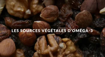 Mélange de noix et graines, excellentes sources végétales d’oméga-3.