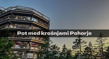 Pot med krošnjami Pohorje