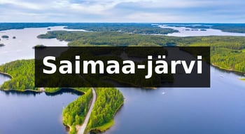 Saimaa-järvi